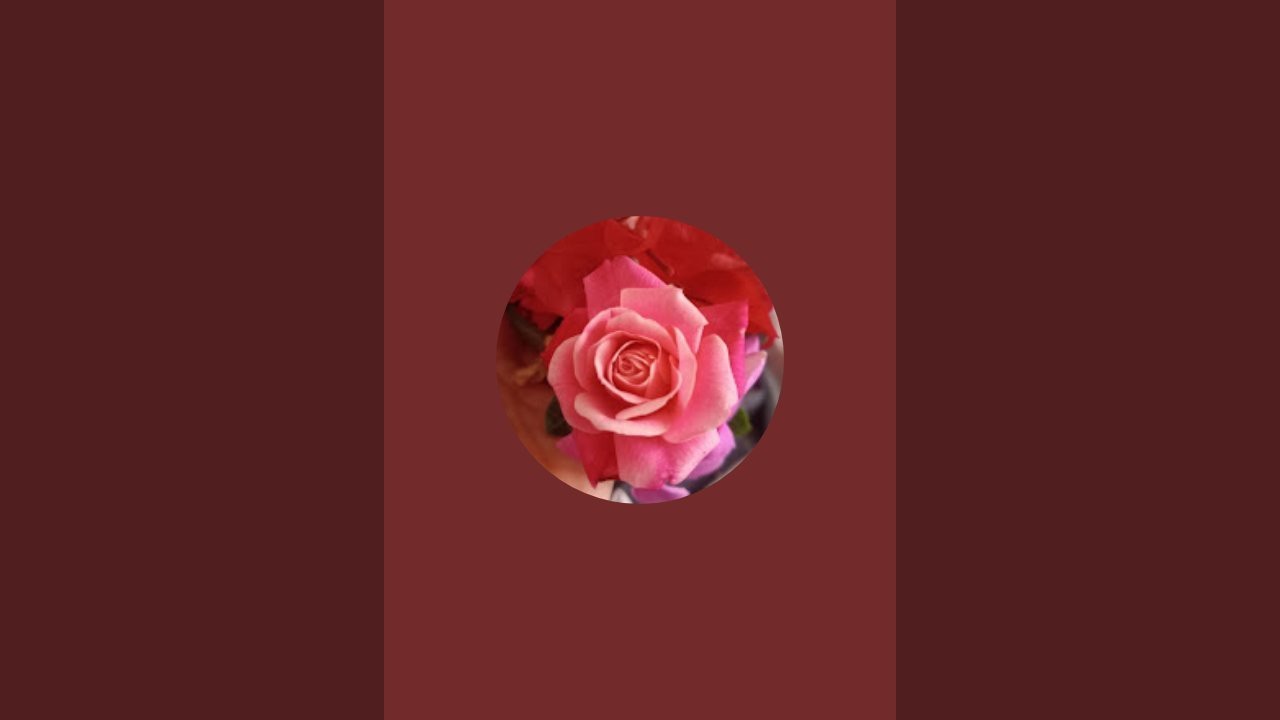 অজানা পথিক  is live!