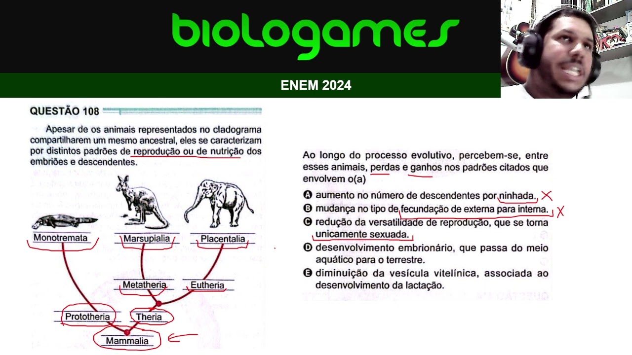ENEM 2024 - PROVA VERDE - Questão 108