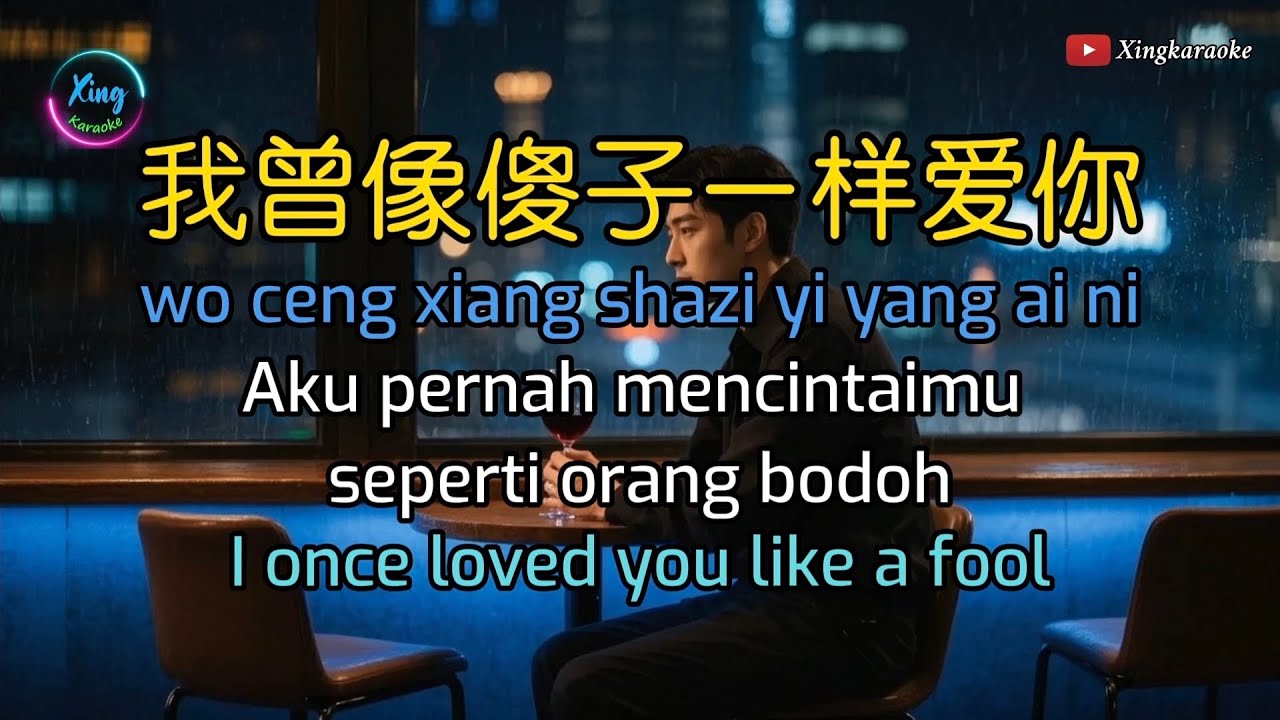 我曾像傻子一样爱你 (卡拉OK) - Wo Ceng Xiang Sha Zi Yi Yang Ai Ni Karaoke