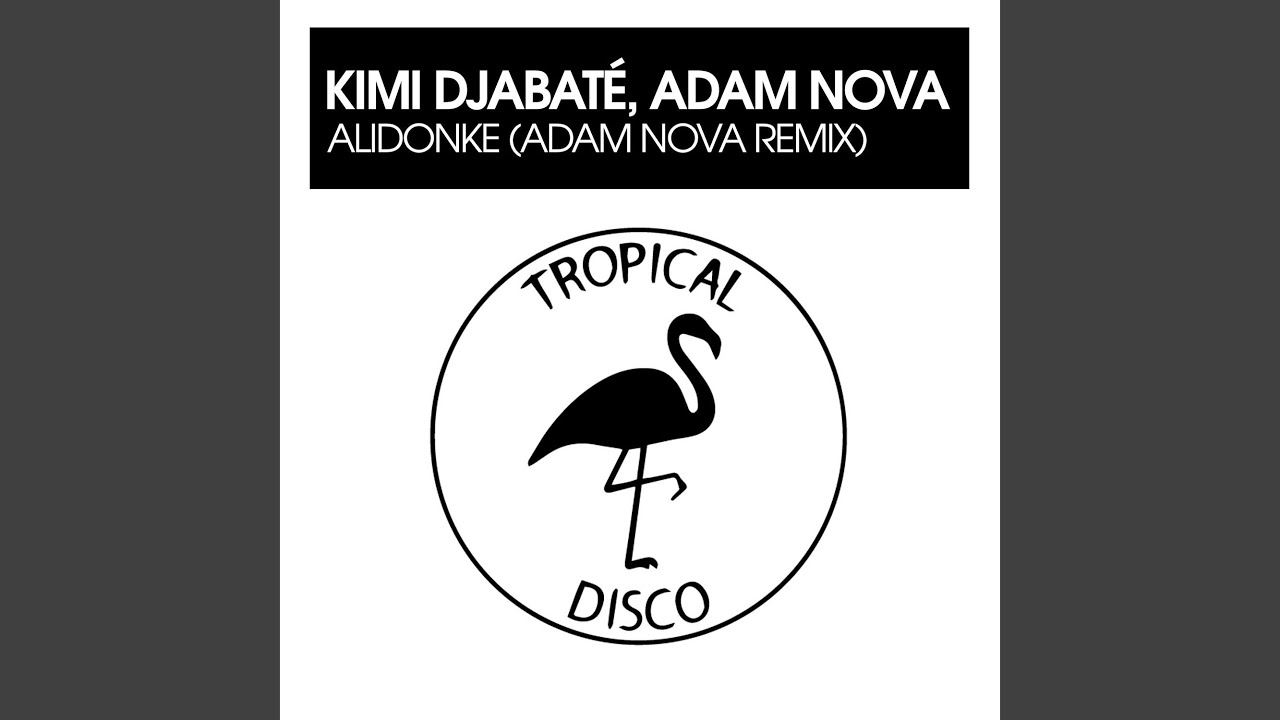 Alidonke (Adam Nova Remix)