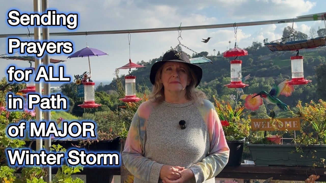 🙏Prayers to All in Path of Major Winter Storm, SOON More on Hummingbirds & Controversial Gardening