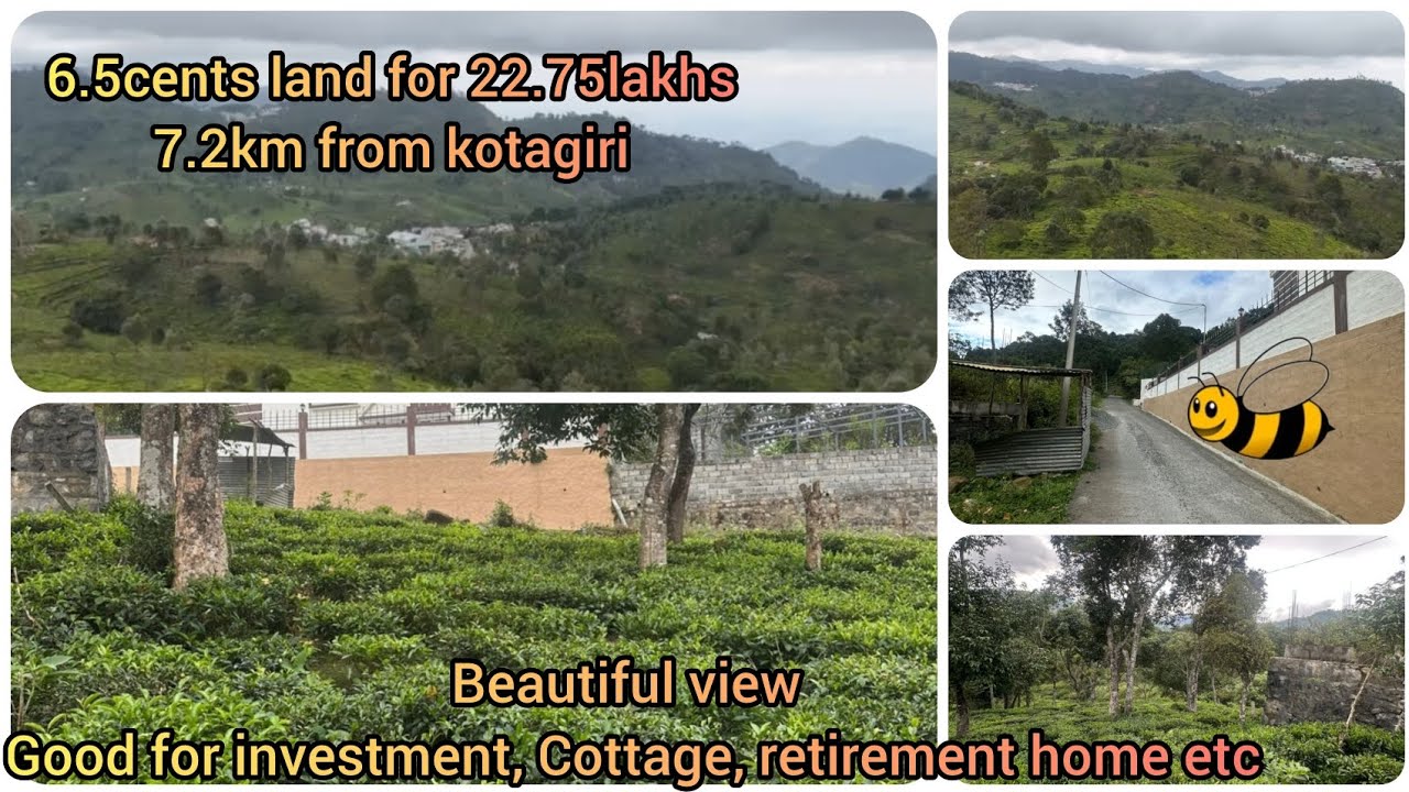 Low budget land/6.5cents land for 22lakhs kotagiri/property #60/best deal/Ooty properties 