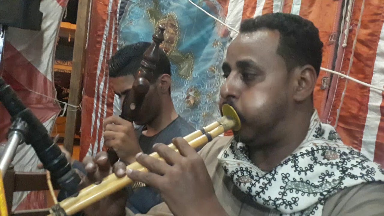 اجمل رقصة علي الغاب الريس سمبل ابو السواح الجديد شديد