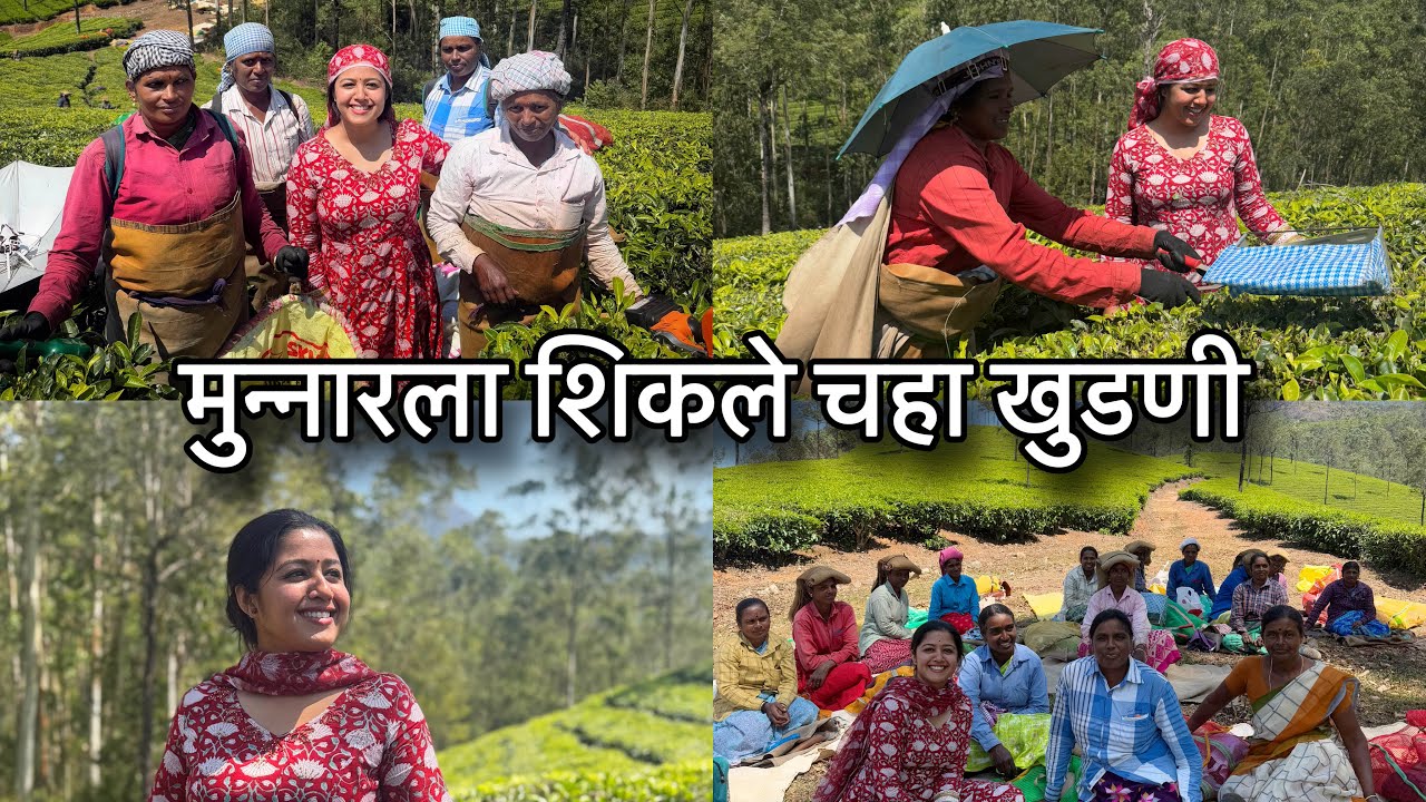 मुन्नारला शिकले चहा खुडणी | Tea Plucking at Munnar | Tea Factory | Tea Tasting | Kerala