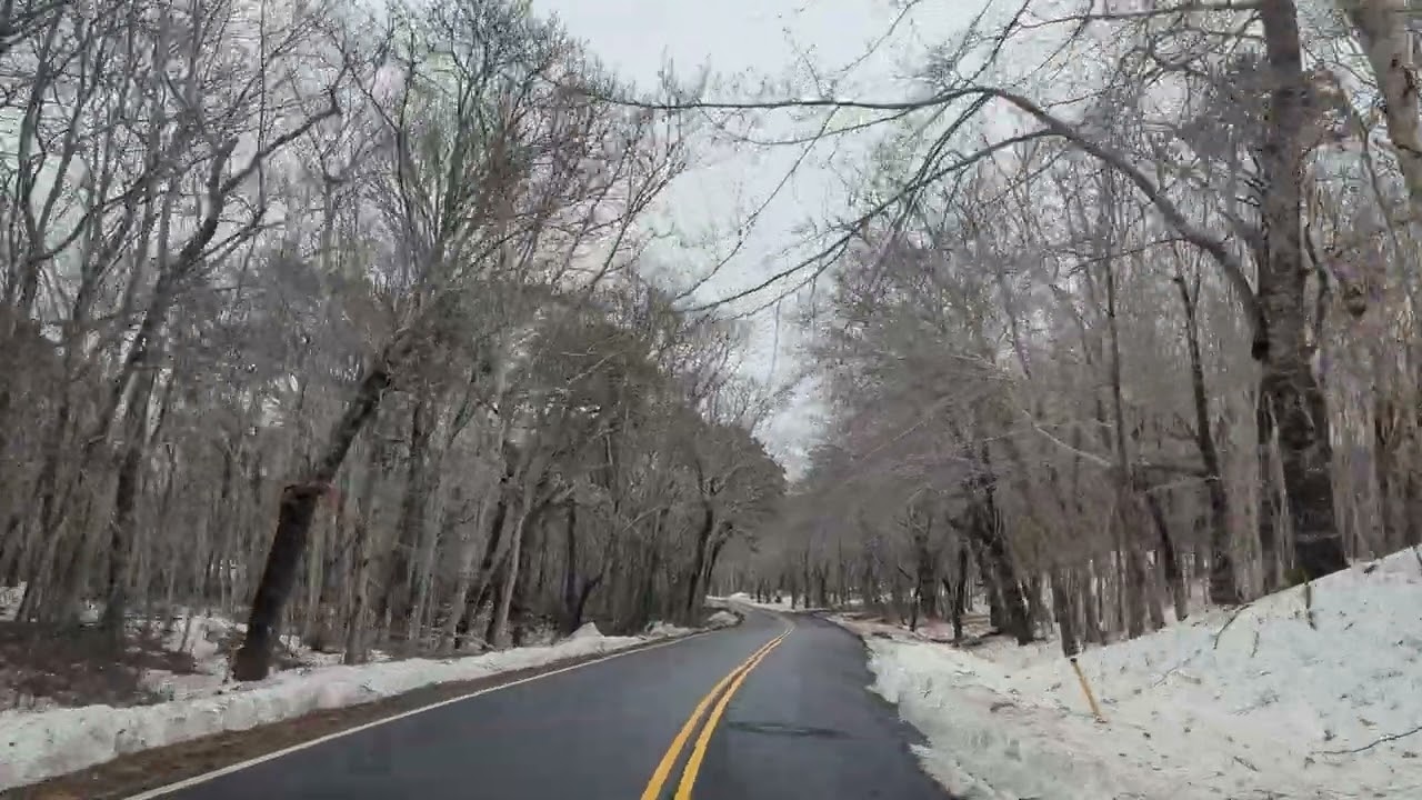 Provincetown, (Race Point road) March 7, 2026 1pm