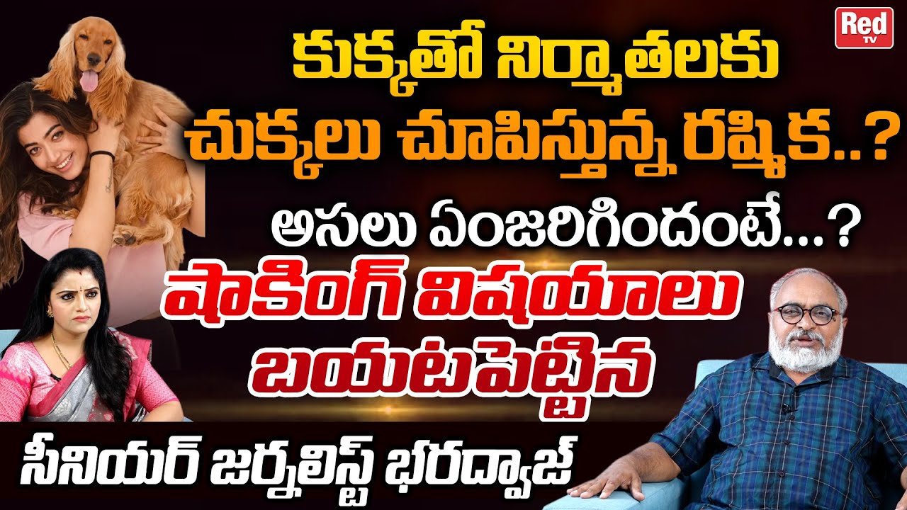 Senior Journalist Bharadwaj Comments On Rashmika Mandanna | Rakhmika Latest News | Tollywood | REDTV