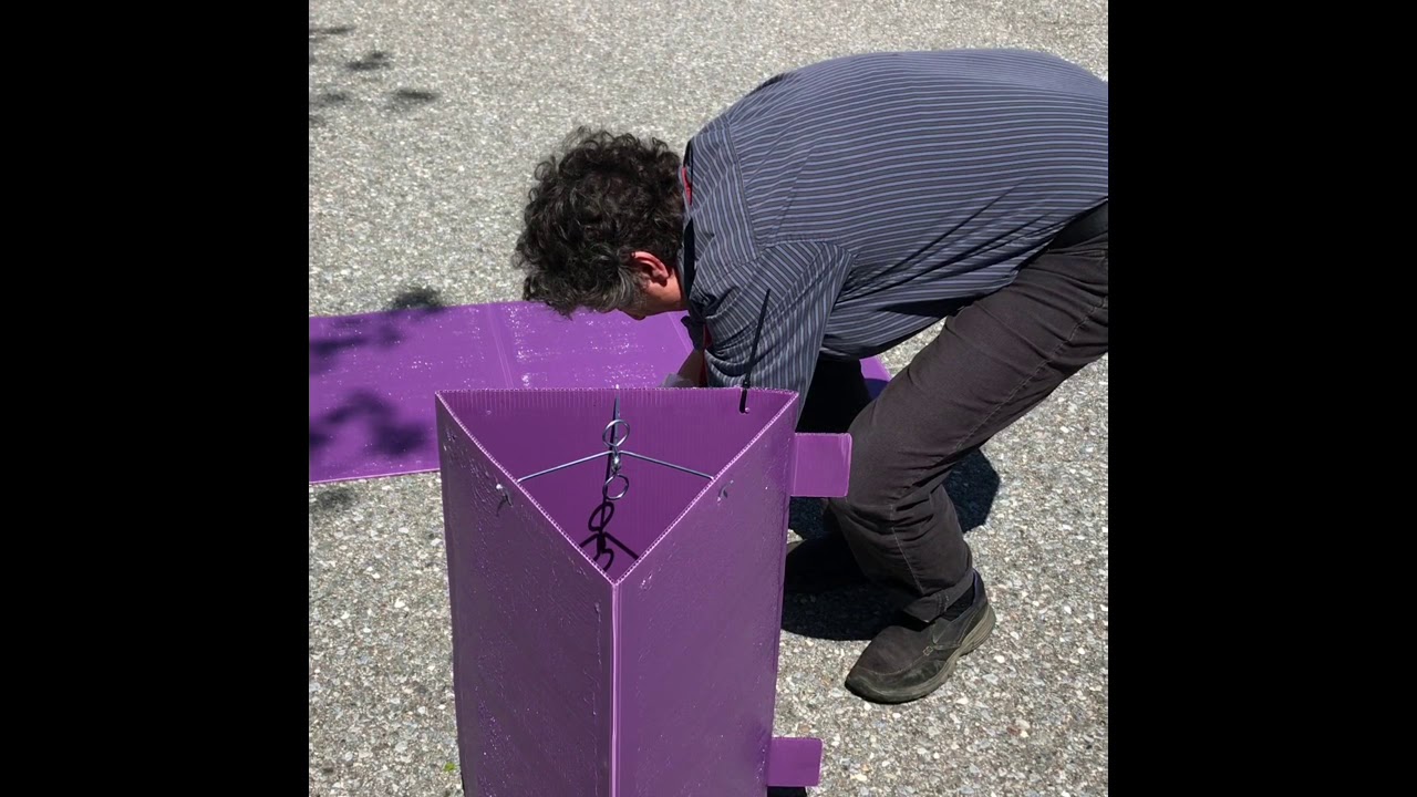 Emerald Ash Borer Purple Trap Assembly