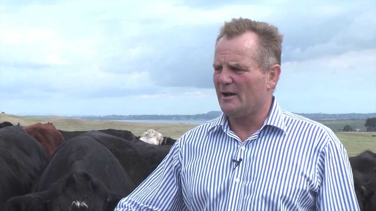 Biological Beef Farming, Auckland, New Zealand