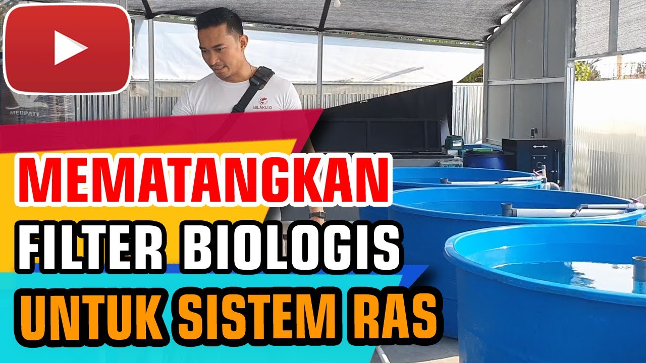 SISTEM RAS MODERN UNTUK IKAN NILA - AYODHA FARM