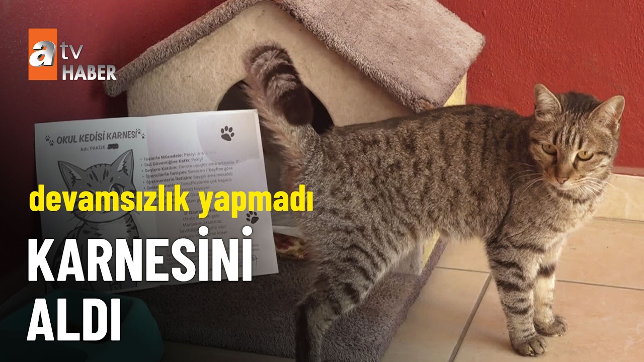 Kedi Pakize’ye karne sürprizi - atv Haber 6 Mart 2026