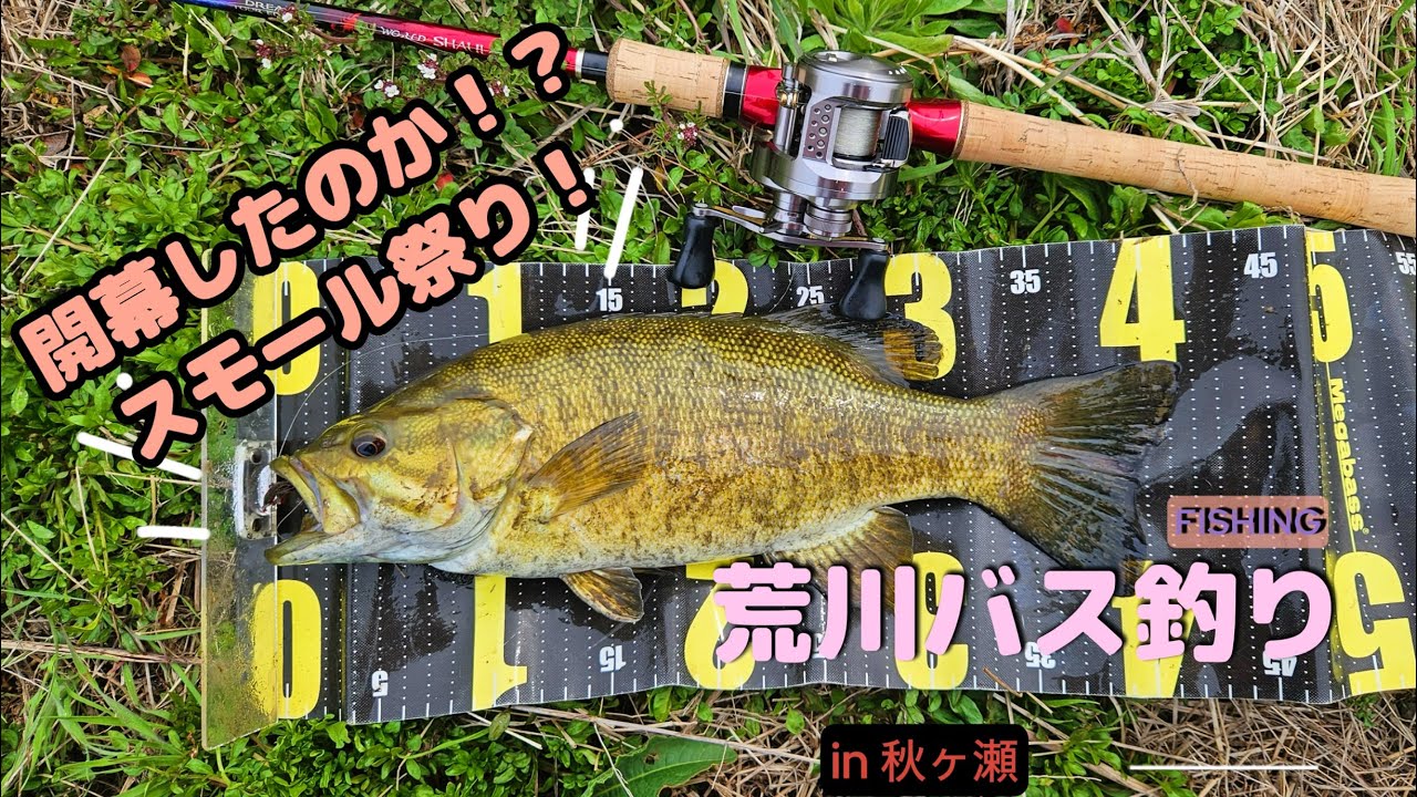 【荒川秋ヶ瀬】スモール狙い！開幕し始めています！