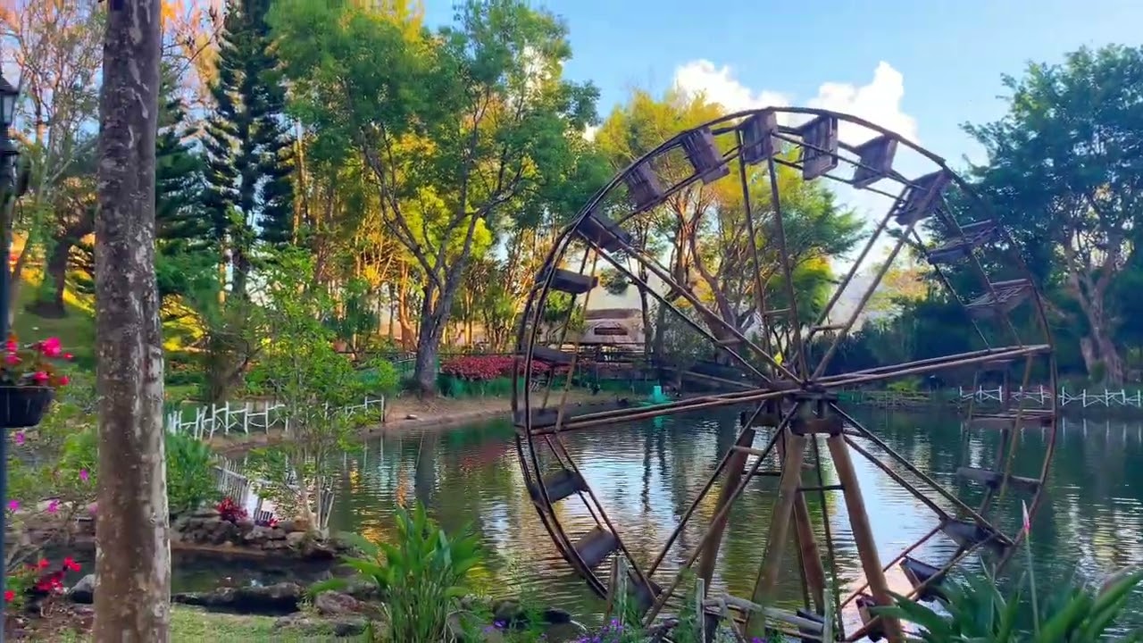 A New Year Nature Trip (Thailand’s Cherry Blossom+Elephant Sanctuary+Mae Wang Chiang Mai)