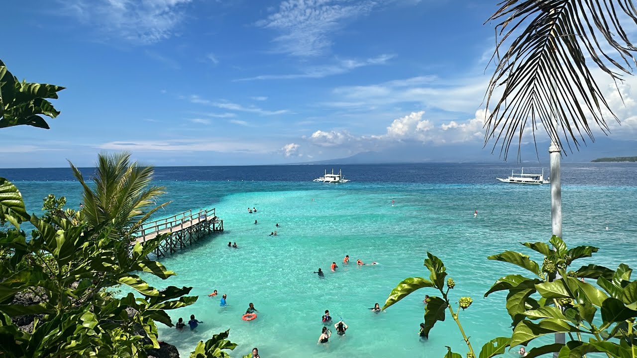 Cebu Vlog : 세부 모알보알 1박2일 오슬롭+원숭이공원+수밀론, 일소뇨 ,모알보알숙소, 세부존투어 세부현지투어
