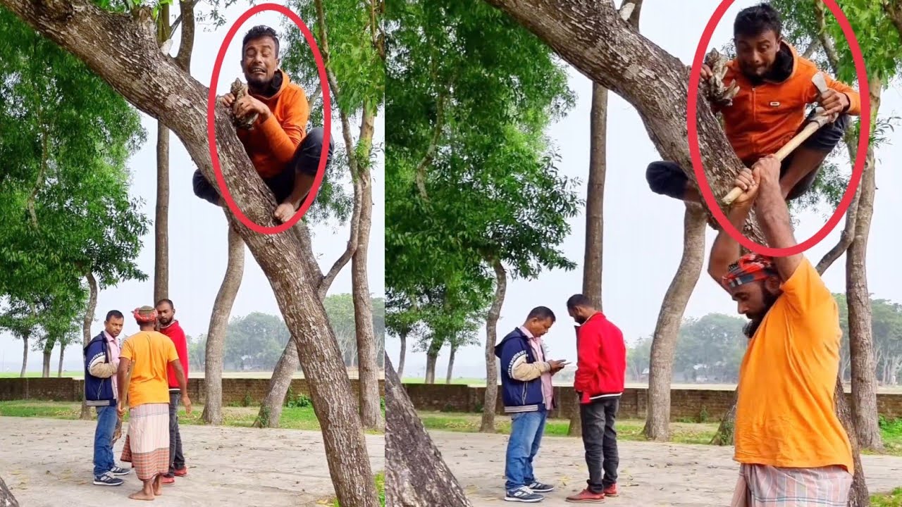জিয়া ভাই গাছ কা*টল অতঃপর