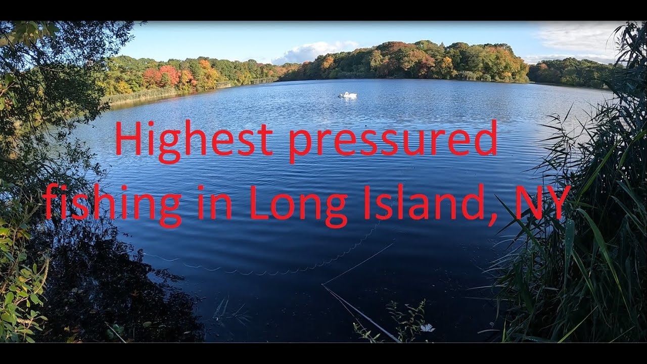Fishing Massapequa Lake in Nassau County, Long Island - the fishing pressure here is the highest