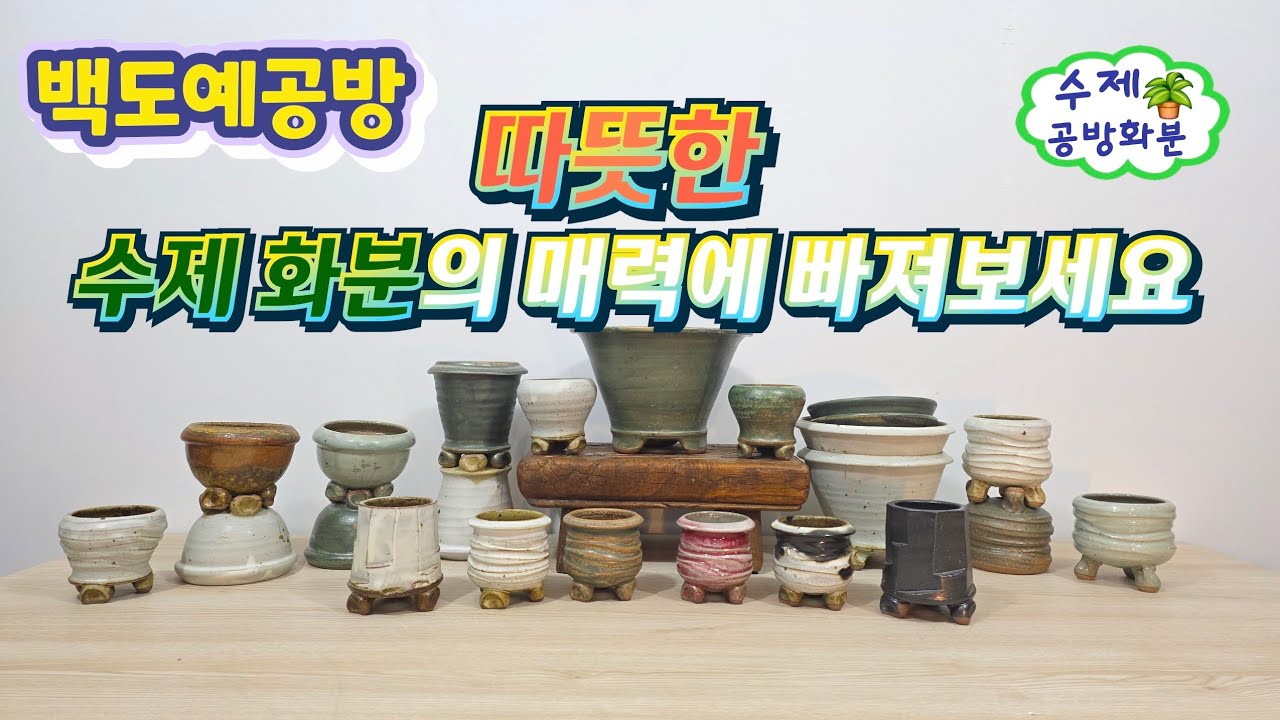 20260317(291회 영상)클래식하고 심플해서 식물을 빛이나게 해줘요🤗🪴👍#수제화분#고급화분#공방화분#야생화화분 #다육화분#아프리카식물#선인장#분갈이화분#분청화분#롱분#식재 
