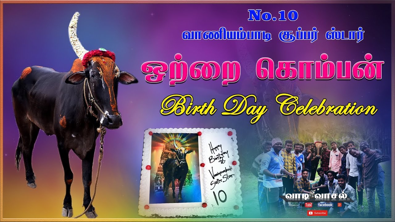Vaniyambadi super star otha komban birthday celebration with fans