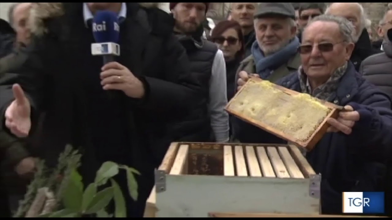 LA MAGIA DI SAVIGNANO IRPINO - TG Itinerante - Borghi d'Italia