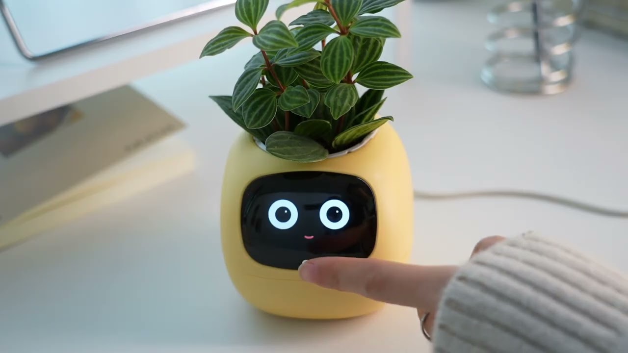 Ivy Gen 2 Complete Tutorial for First-Time Use.