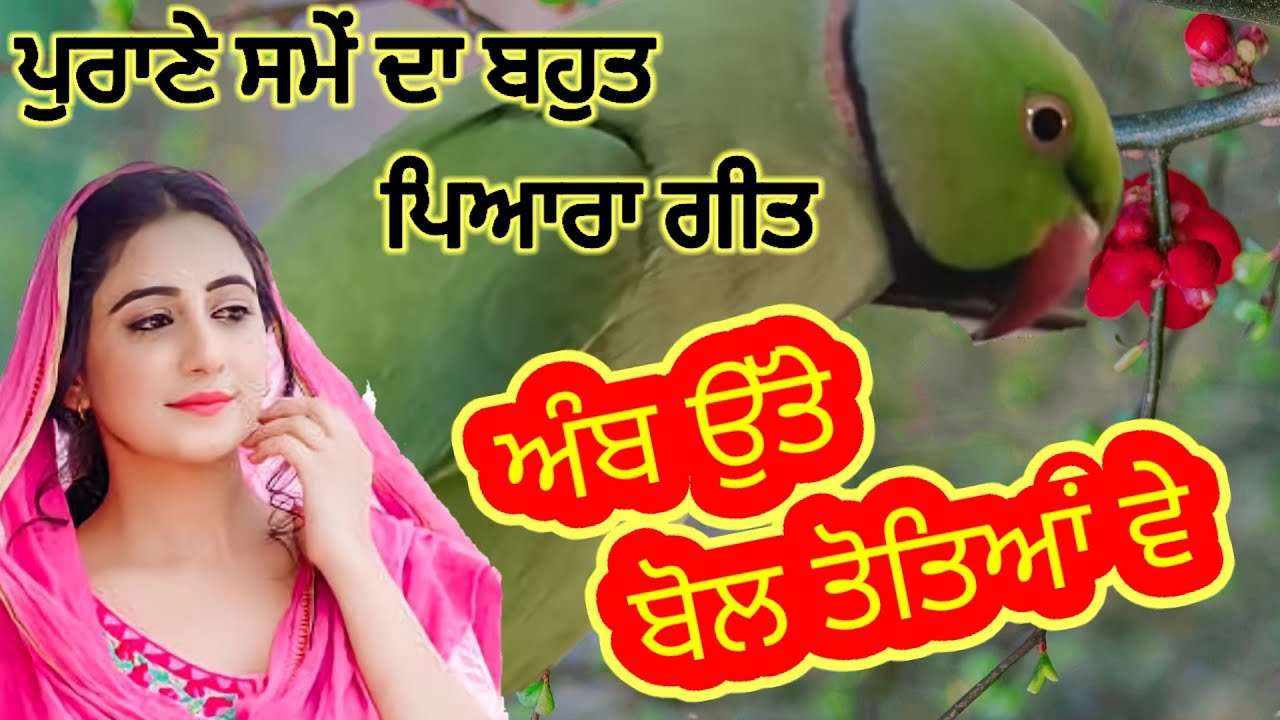 ਤੇਰੇ ਟੁੱਕੇ ਅੰਬਾਂ ਨੂੰ ਮੈਂ ਖਾਵਾਂ💥Ladies Sangeet Song , old boliyan punjabi  #ladysangeet #dholkisong 