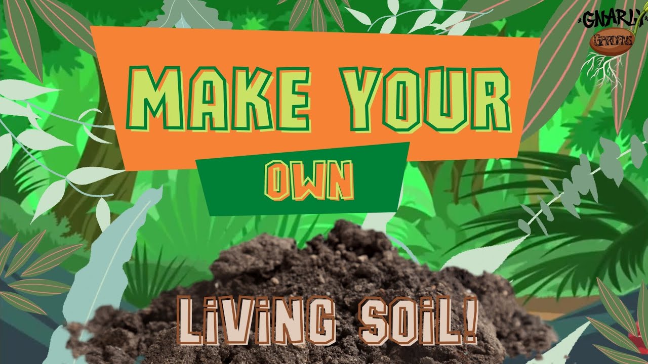 How to Make Your Own Organic Living Super Soil
