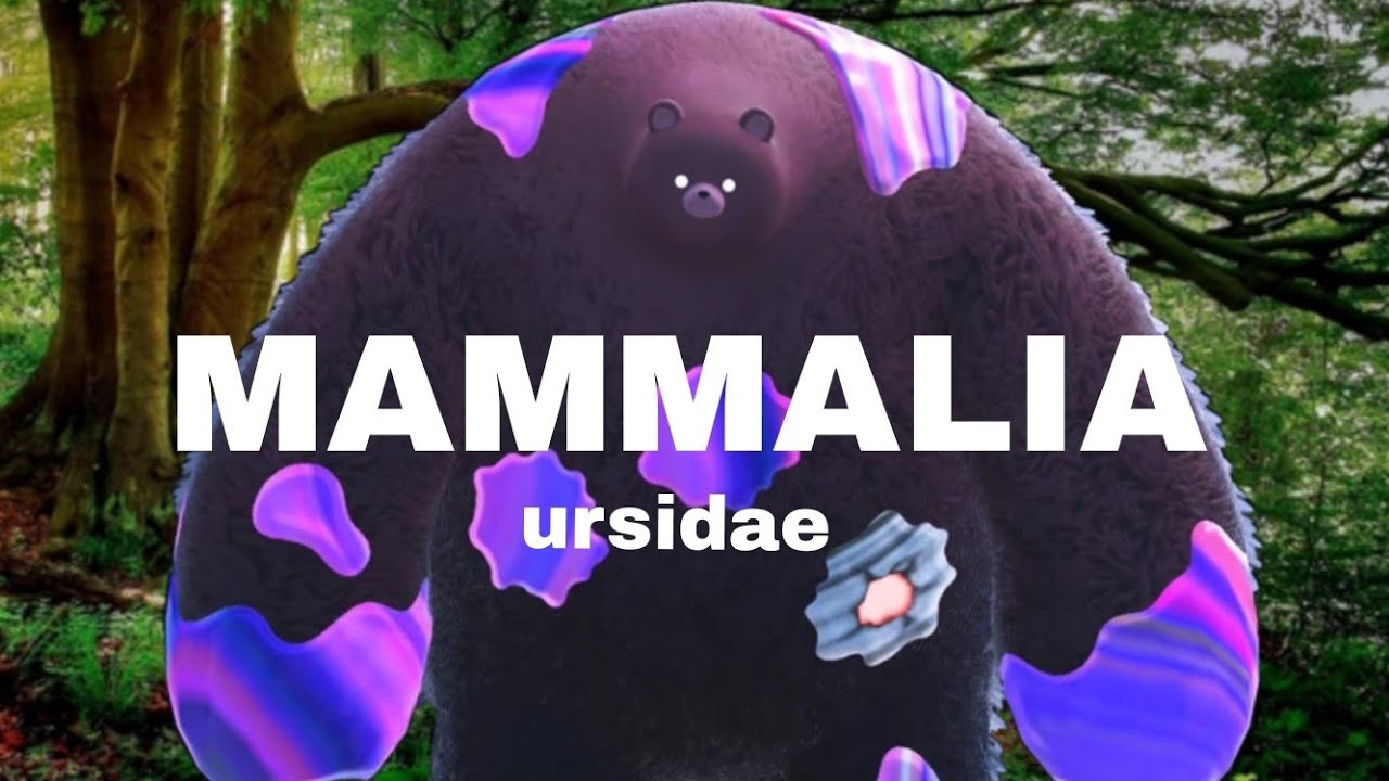 MAMMALIA:URSIDAE