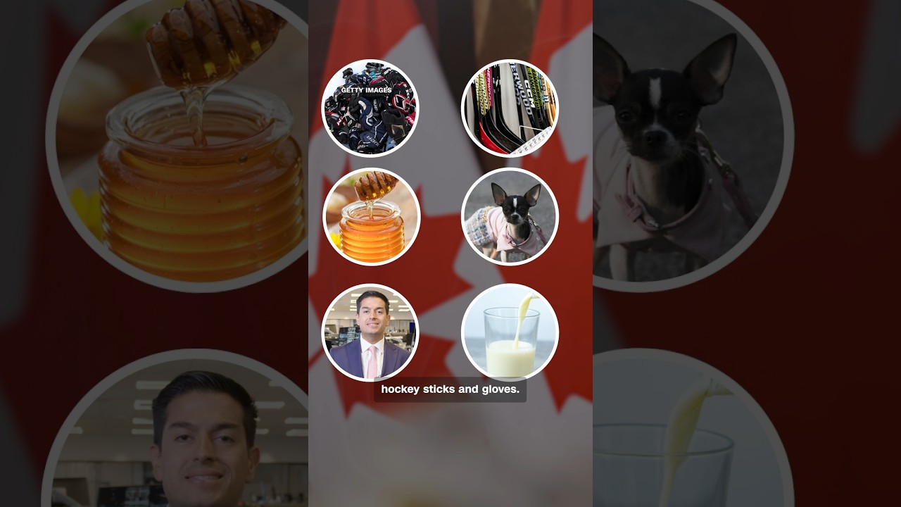 New US-Canada tariffs may make everyday items more expensive