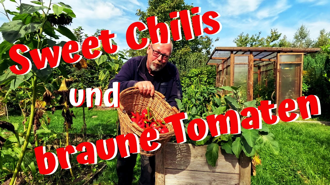 Tomaten hop, Paprika top? Was wird aus den Tomaten? / Sweet Chili Sauce ganz einfach selbst gemacht