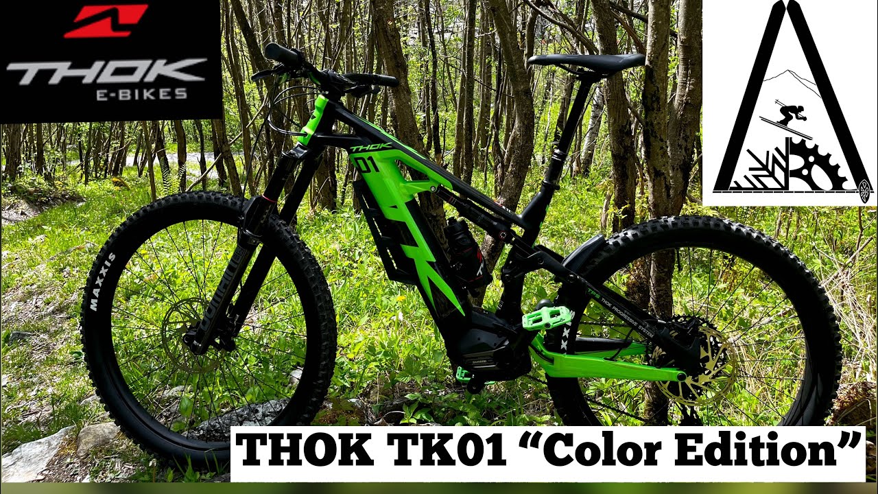 Noleggio MTB E-Bike in Valmalenco: Thok TK01 Color Edition