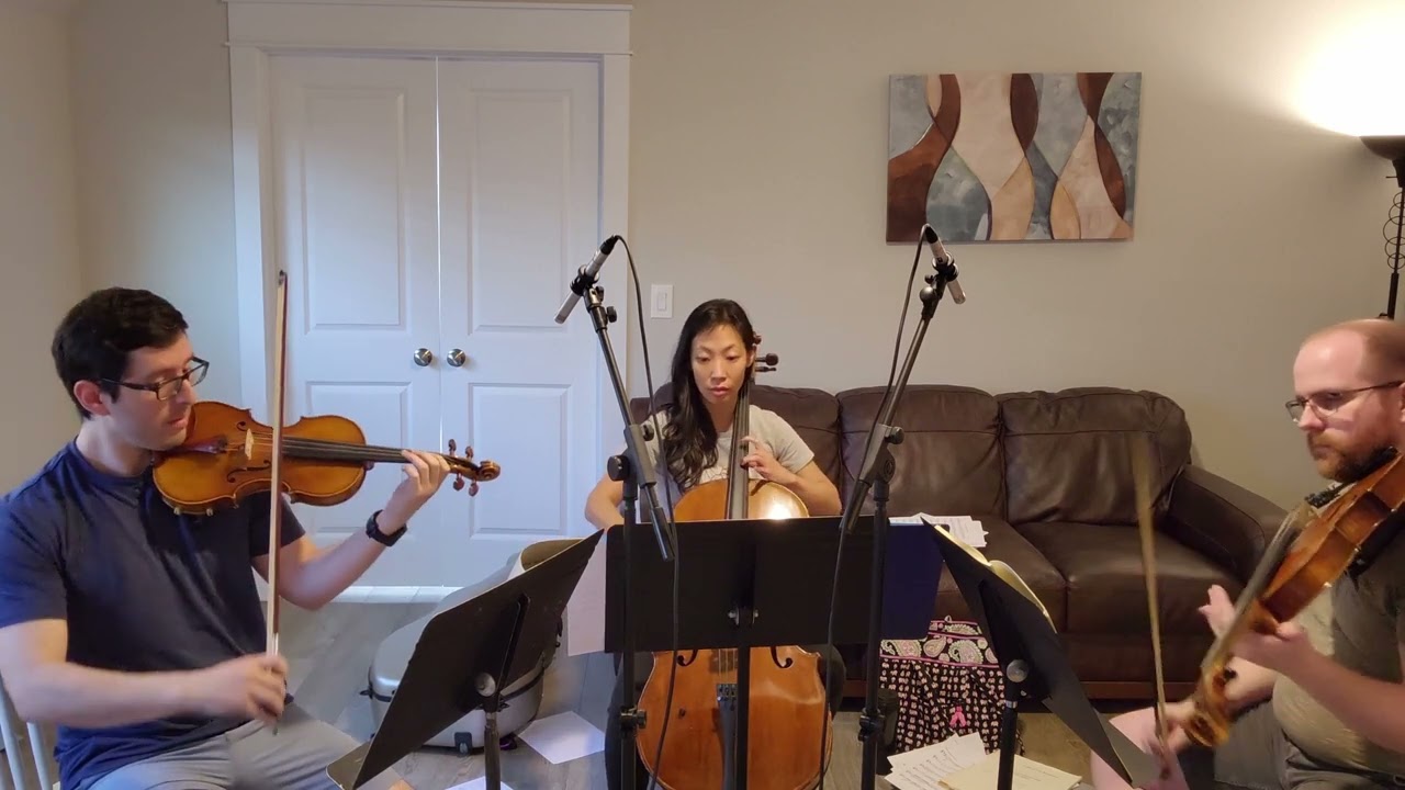 Beethoven - String Trio No. 1 in Eb Major, op.3, mvt 1
