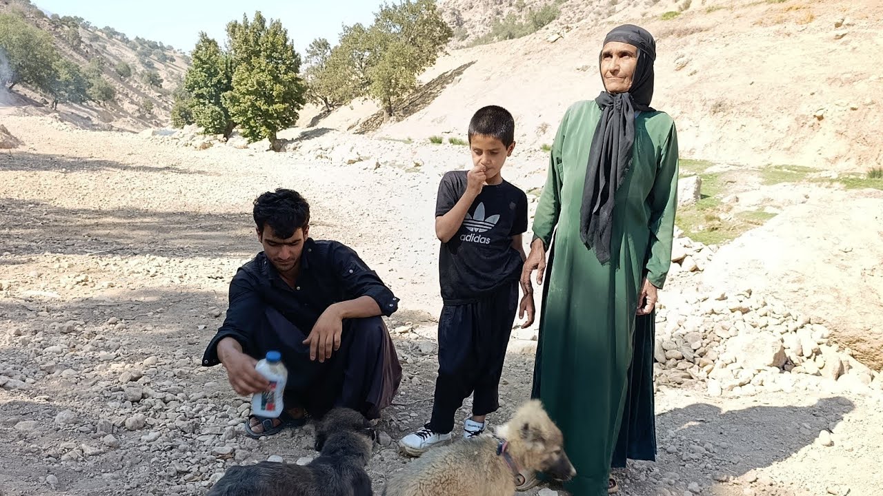 Hashem had a fight with Ashraf and wanted to take him home.