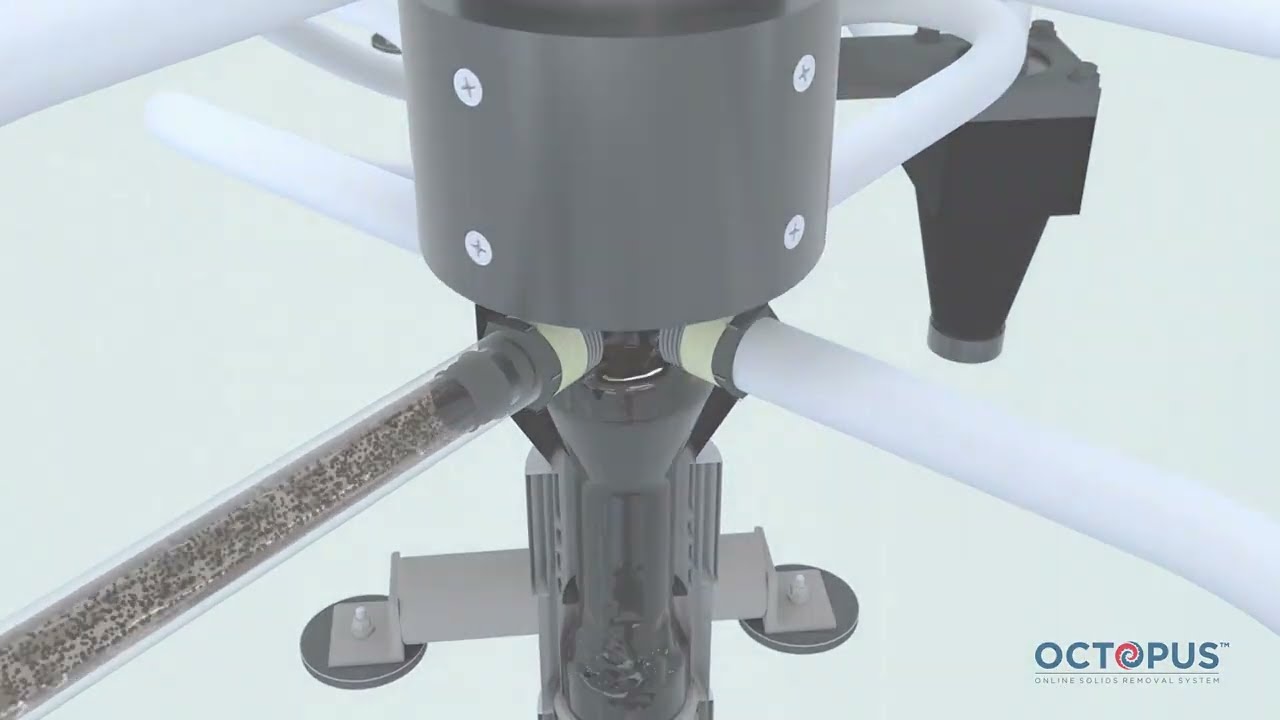 Wolf Process - How the Octopus Works.
