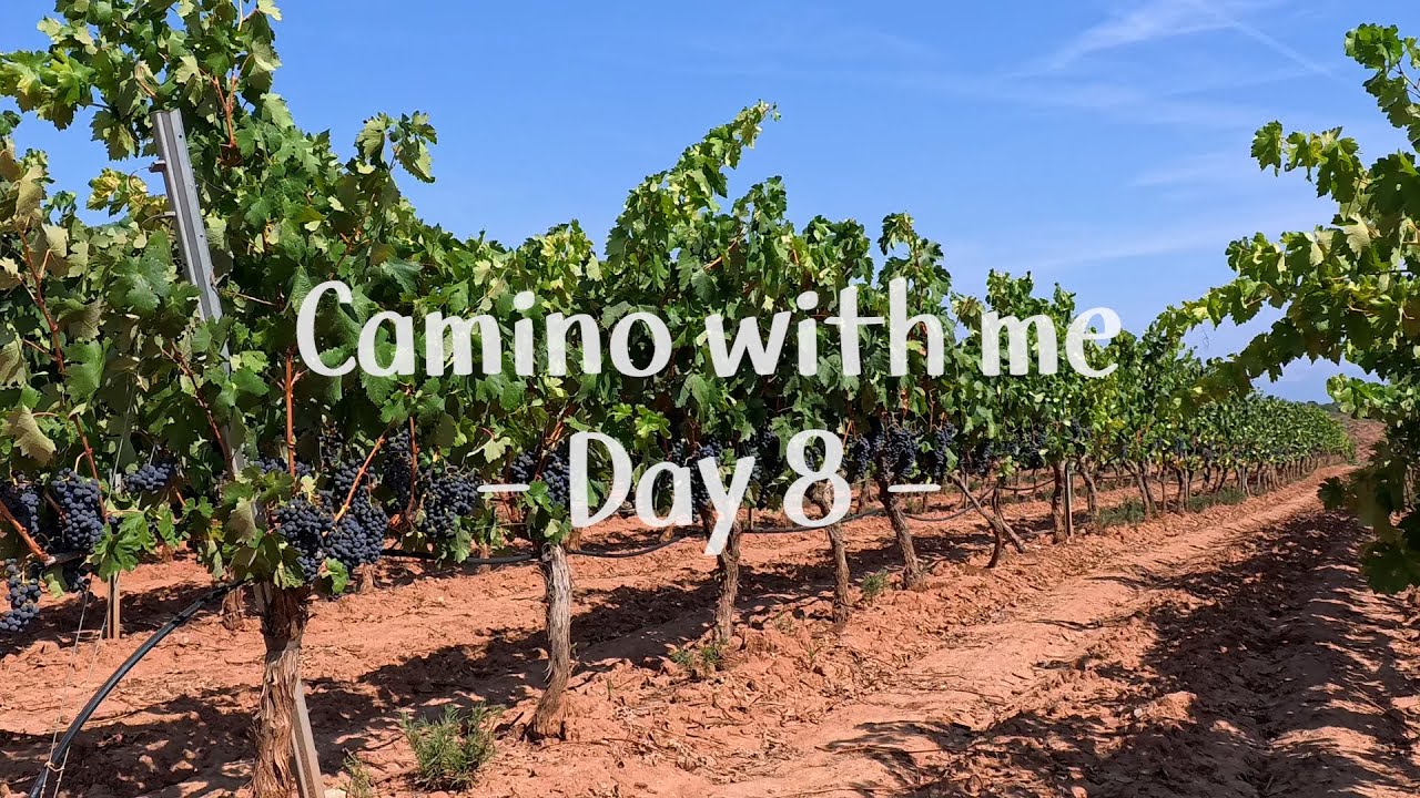 로그로뇨부터 나헤라까지 함께 걸어요! | Camino with me Day 8 | 산티아고순례길
