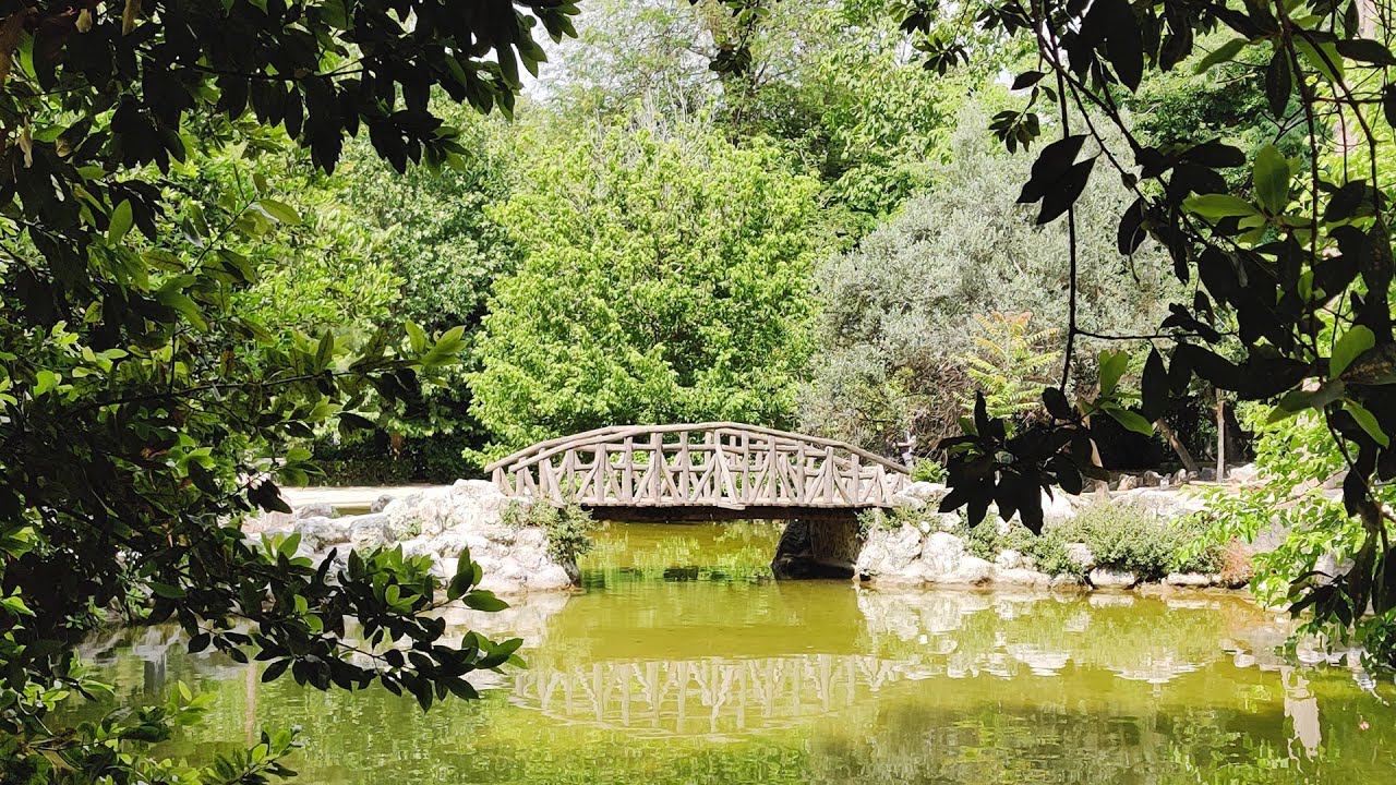 #51 Athens National Garden walk with binaural sounds in 4k