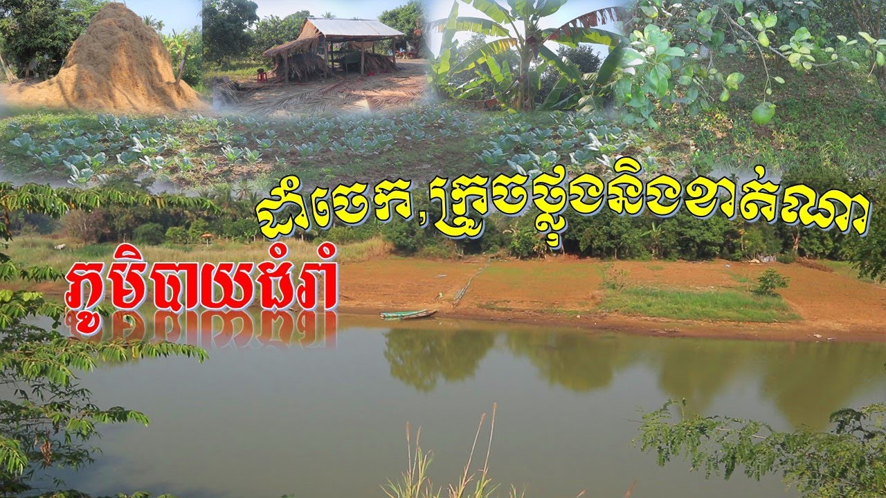 ភូមិបាយដំរាំ ភូមិតាមមាត់ស្ទឹងសង្កែ មានដាំចេក,ក្រូចថ្លុង,ខាត់ណានិងផ្សេងទៀត