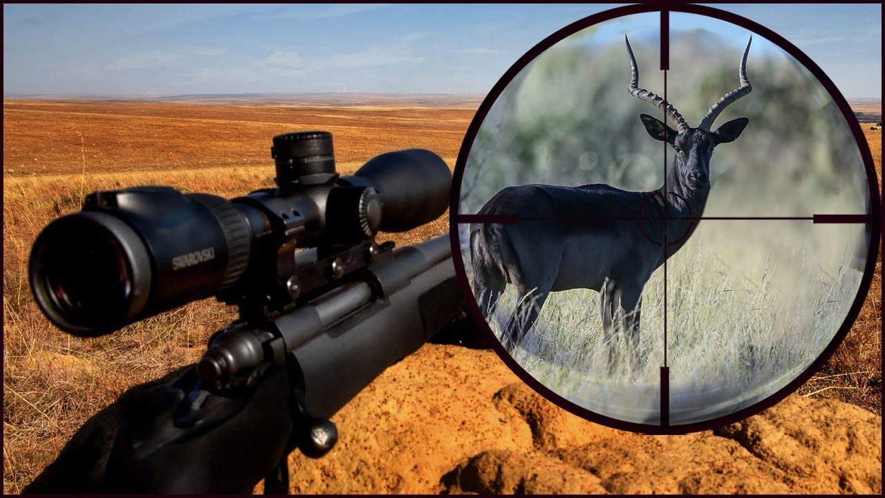 Fair Chase Africa Hunting