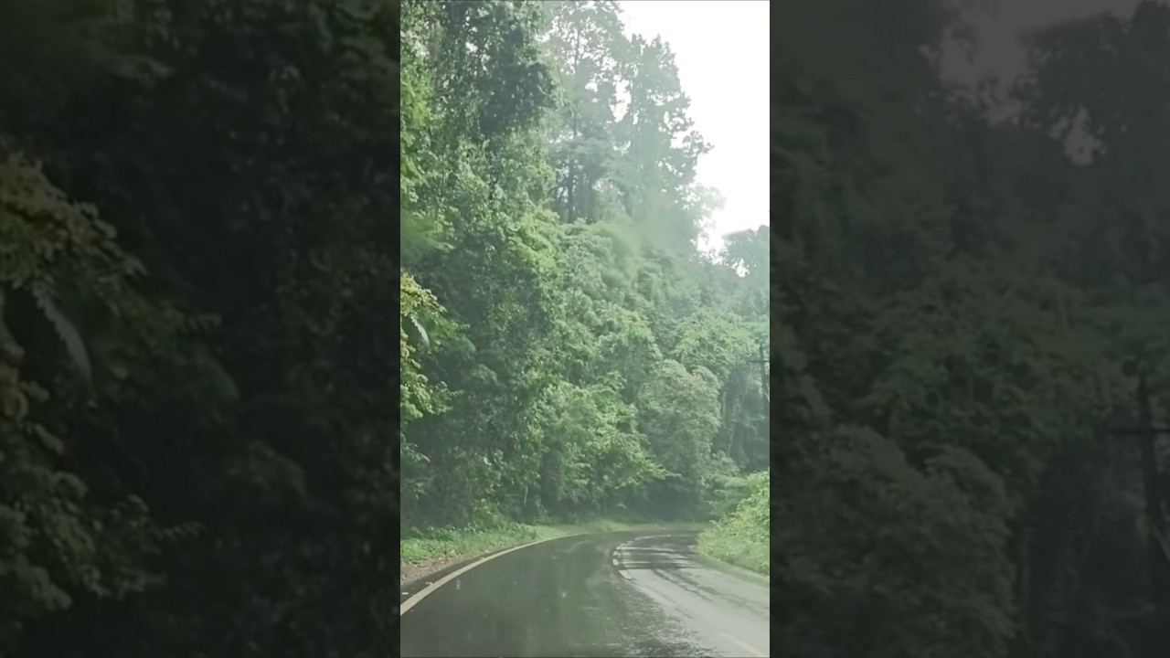 Monsoon+Rainy roads=Perfect therapy🌧️❤️#No filter#nature#madkeri#sullia#rain #shorts #monsoon#viral
