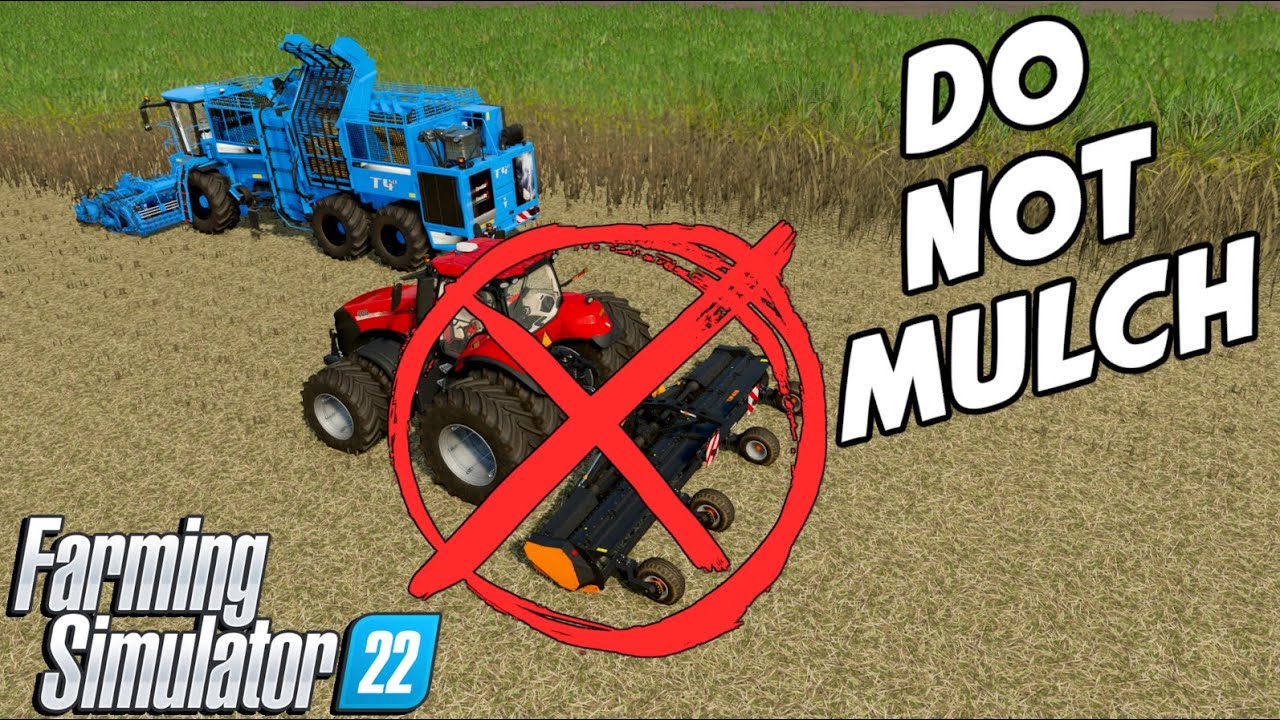 How To Get Max Yield On Regrown Sugarcane | FS22