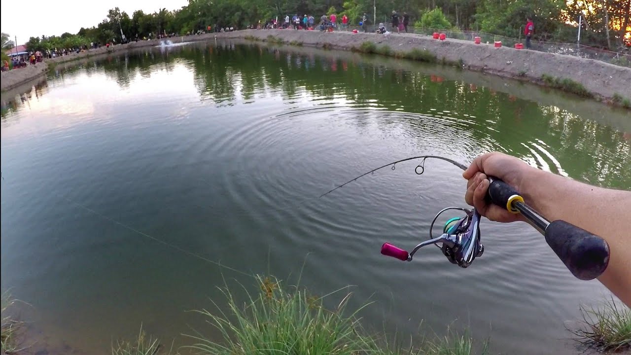 Memang Best Layan ULTRALIGHT Dekat Kolam Baru Nie!
