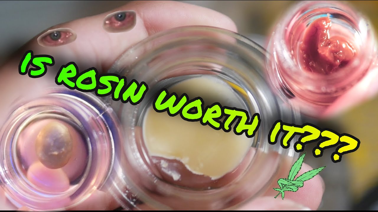 IS ROSIN WORTH IT ???  *Live Rosin, Age Cured Rosin, Full Spectrum Rosin*