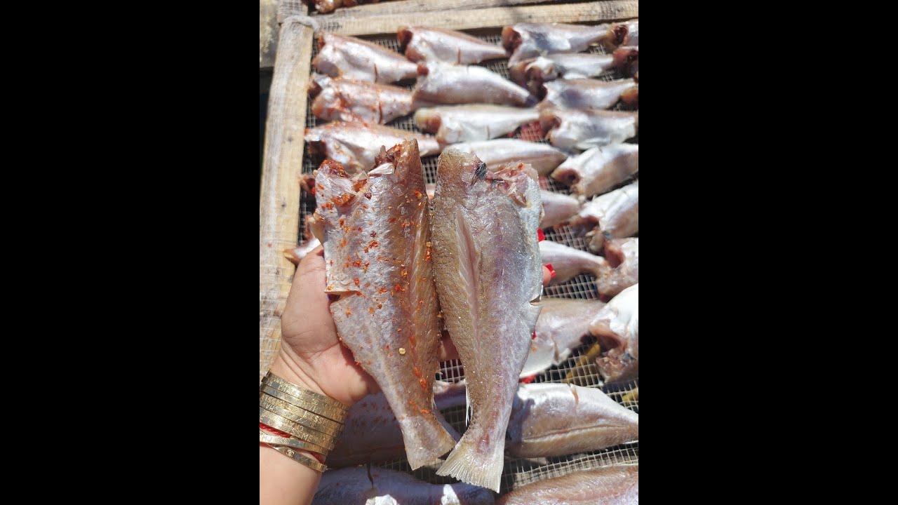 Quy trình làm Khô Cá Đù 1 nắng chuẩn - Chuyên cung cấp Sỉ & lẻ Khô cá đù toàn quốc - 0903 602 763