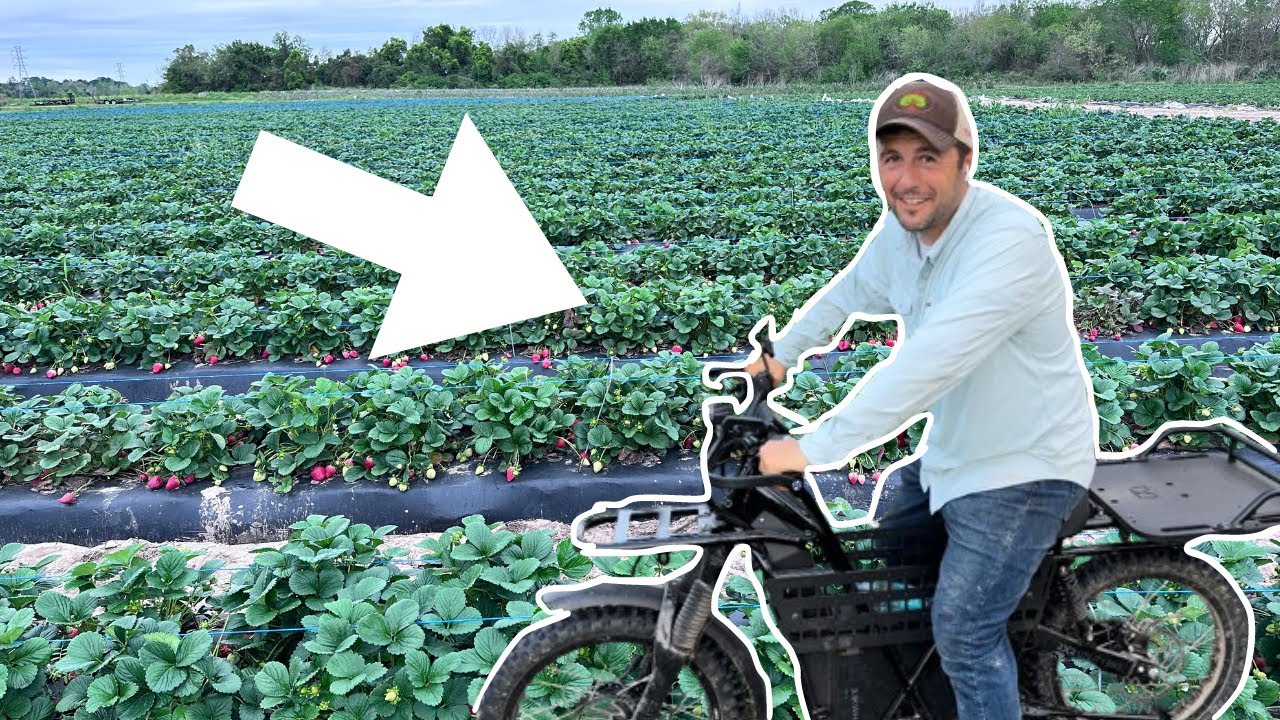 Farm Tour (Frobergs Farm) - August 2024