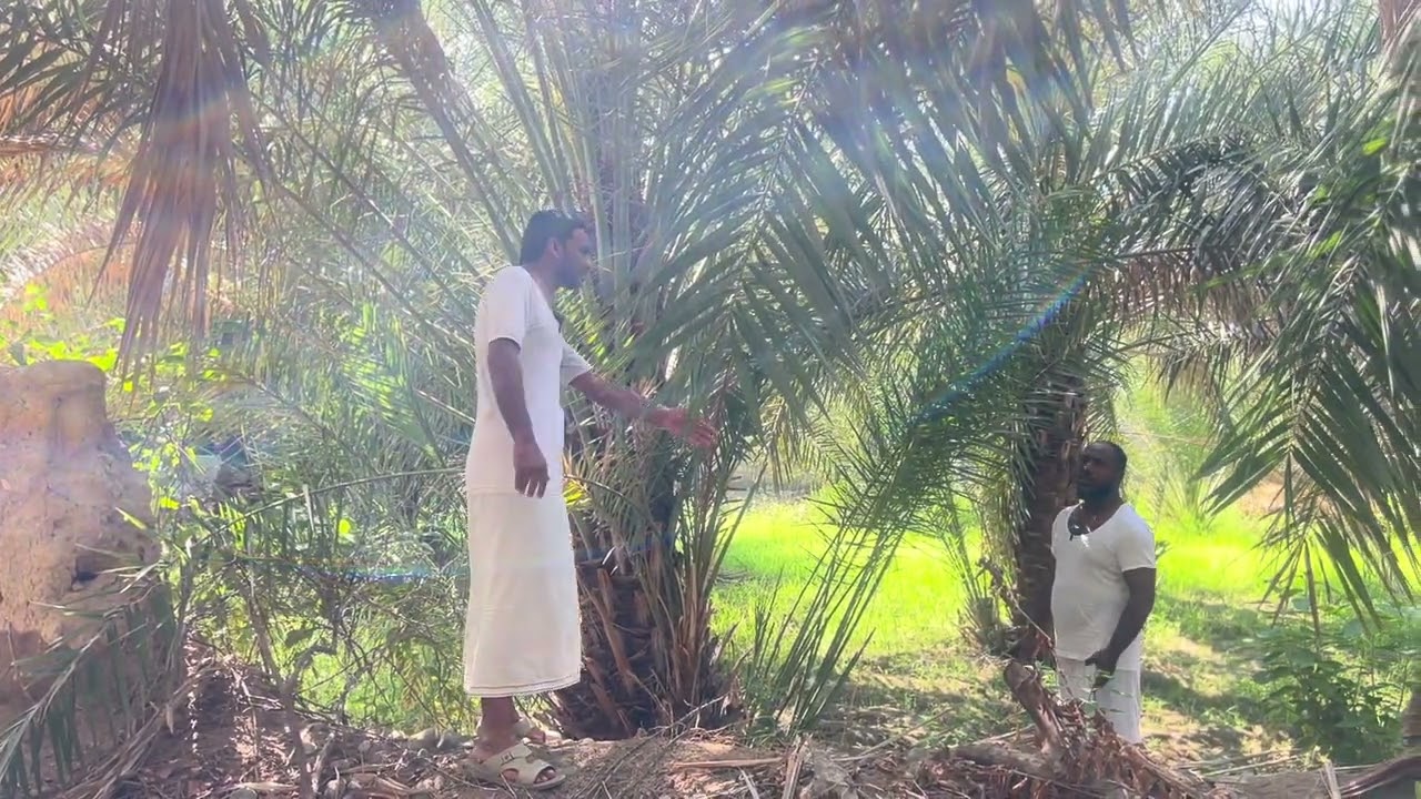 قصه ومثل (١٧)
