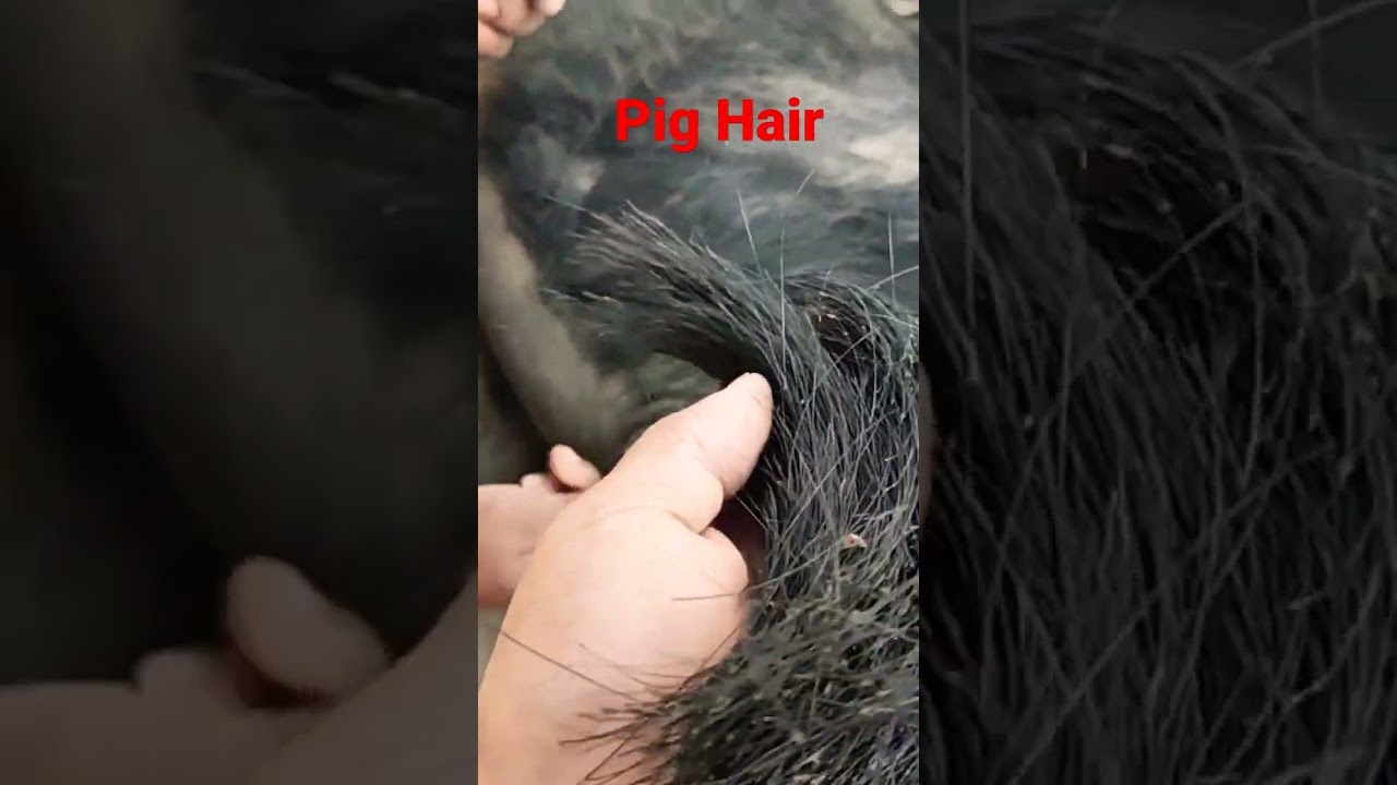 Making Shoes Brush from Pig hair