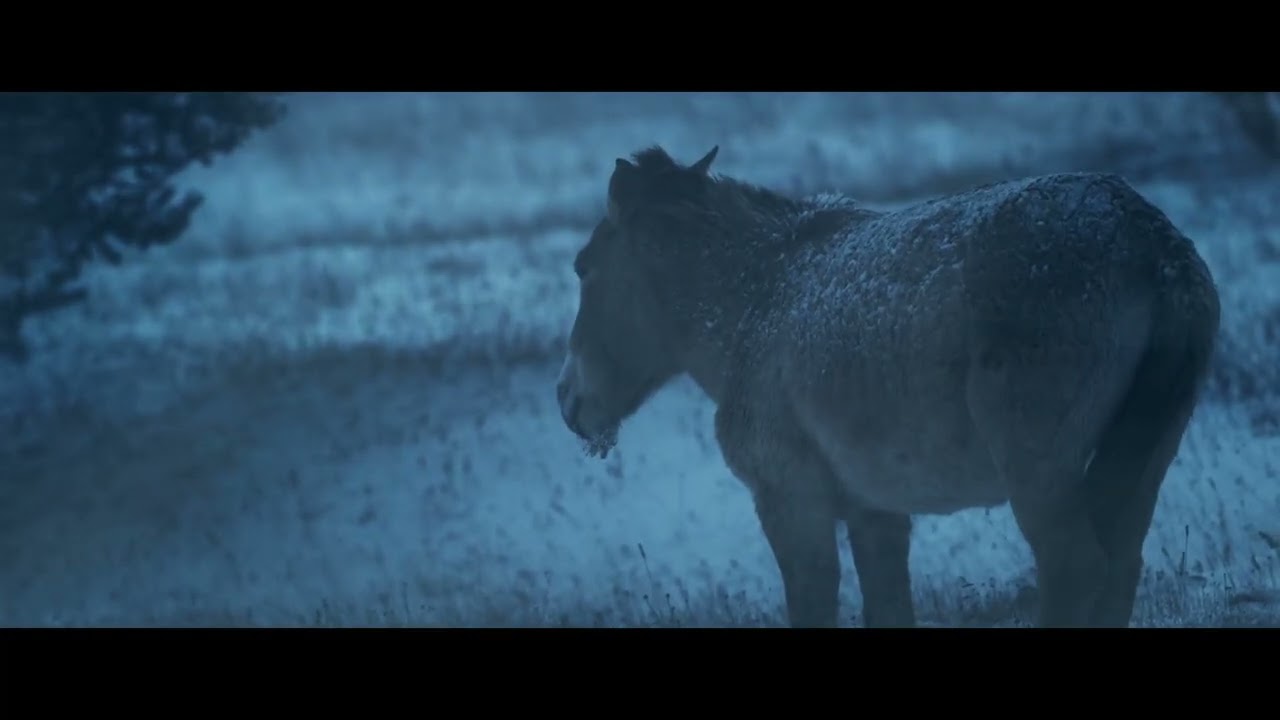 Vivant parmi les vivants - Bande annonce (VF)