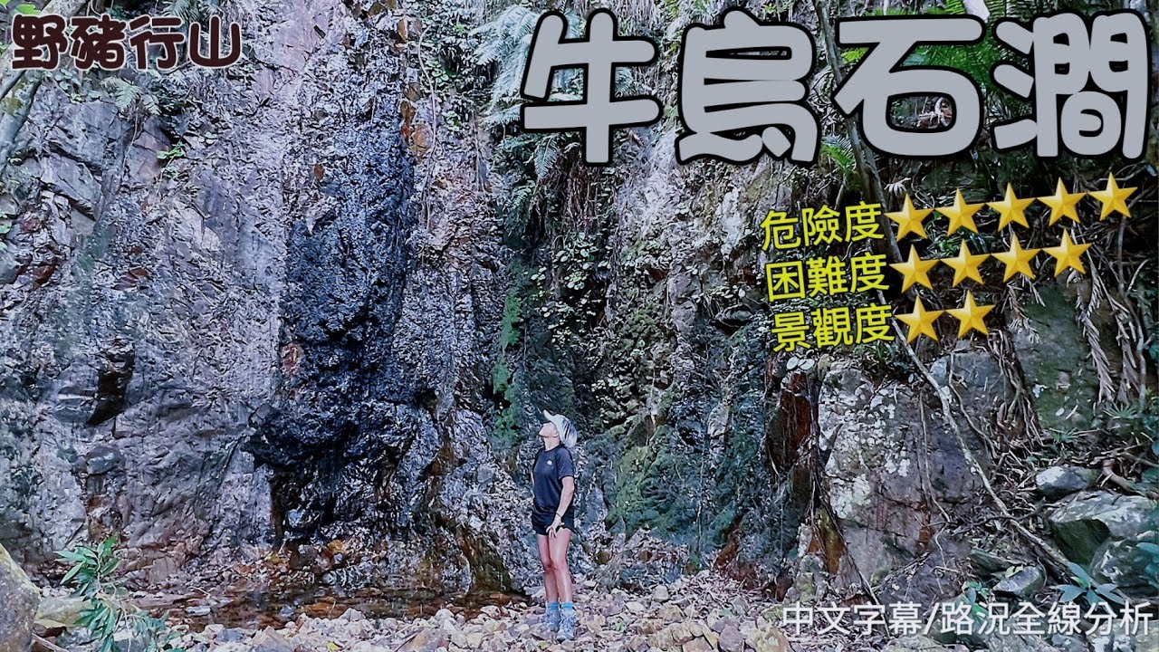 [野豬行山~馬鞍山EP058]漫遊牛烏水塘再長細拆解牛烏石澗