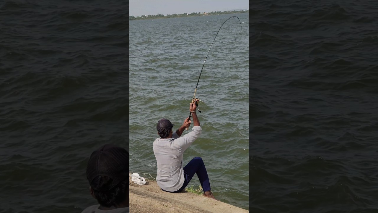 New fishing videos 😮 | Latest Fishing Chennai #fishing #fisherman #viralshorts #shortsfeed #reels