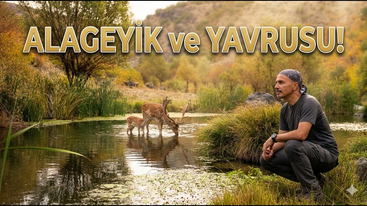 Ankara Doğasında Geyiklerle Karşılaşma │ KİRMİR ÇAYI