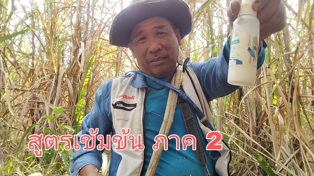 สูตรเข้มข้น ทดสอบ หมายฮ้างๆๆ