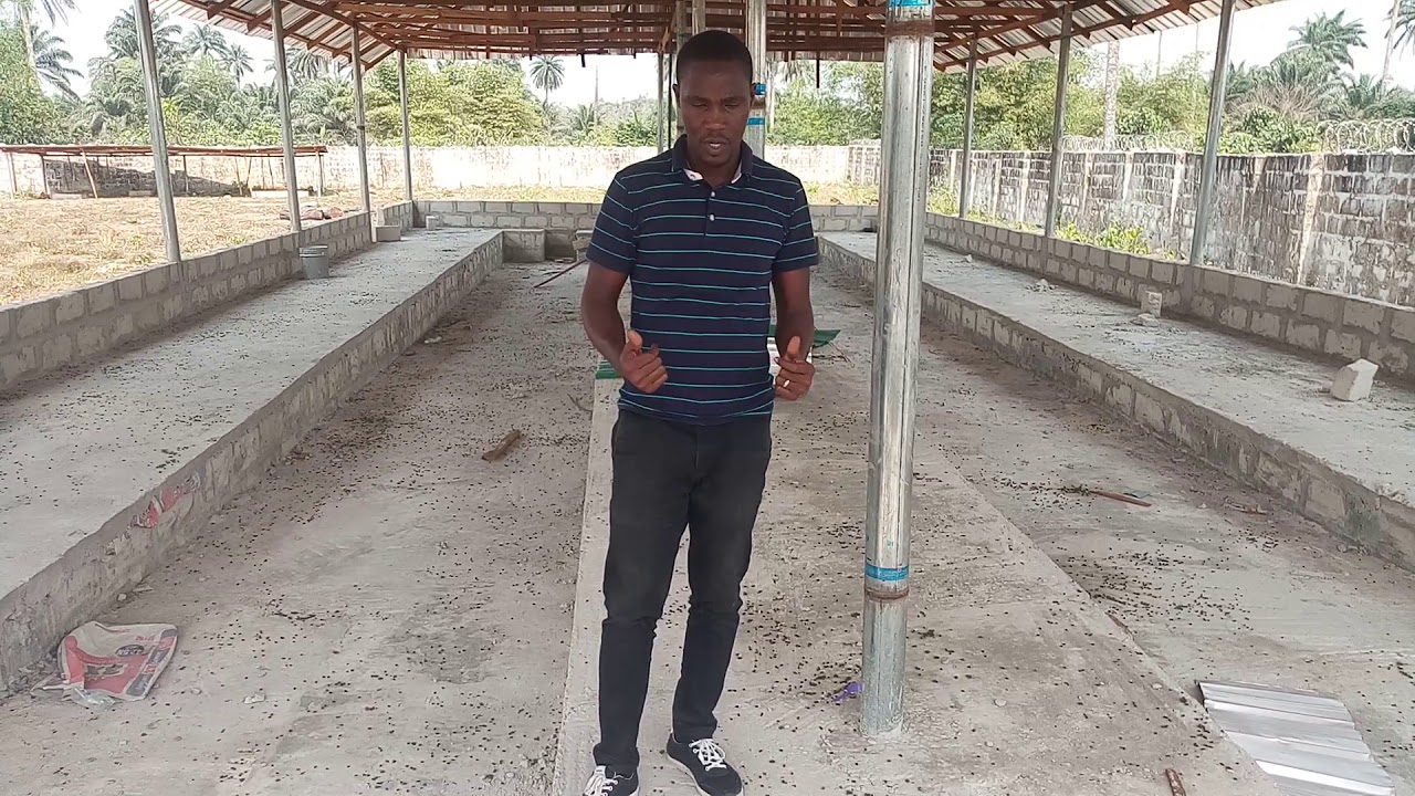 Construction of a Battery Cage System For Poultry Birds (Layers)